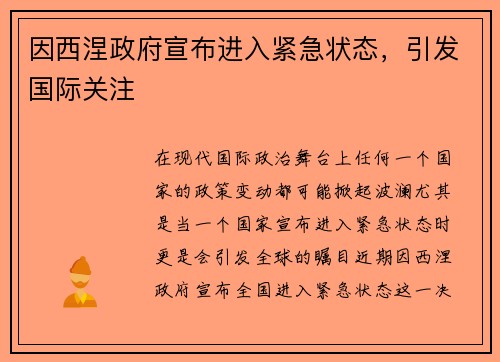 因西涅政府宣布进入紧急状态，引发国际关注